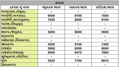 કપાસના તા.23-07-2025ના રોજ APMCના ભાવ રૂ.4500 થી 8505 રહ્યા.
