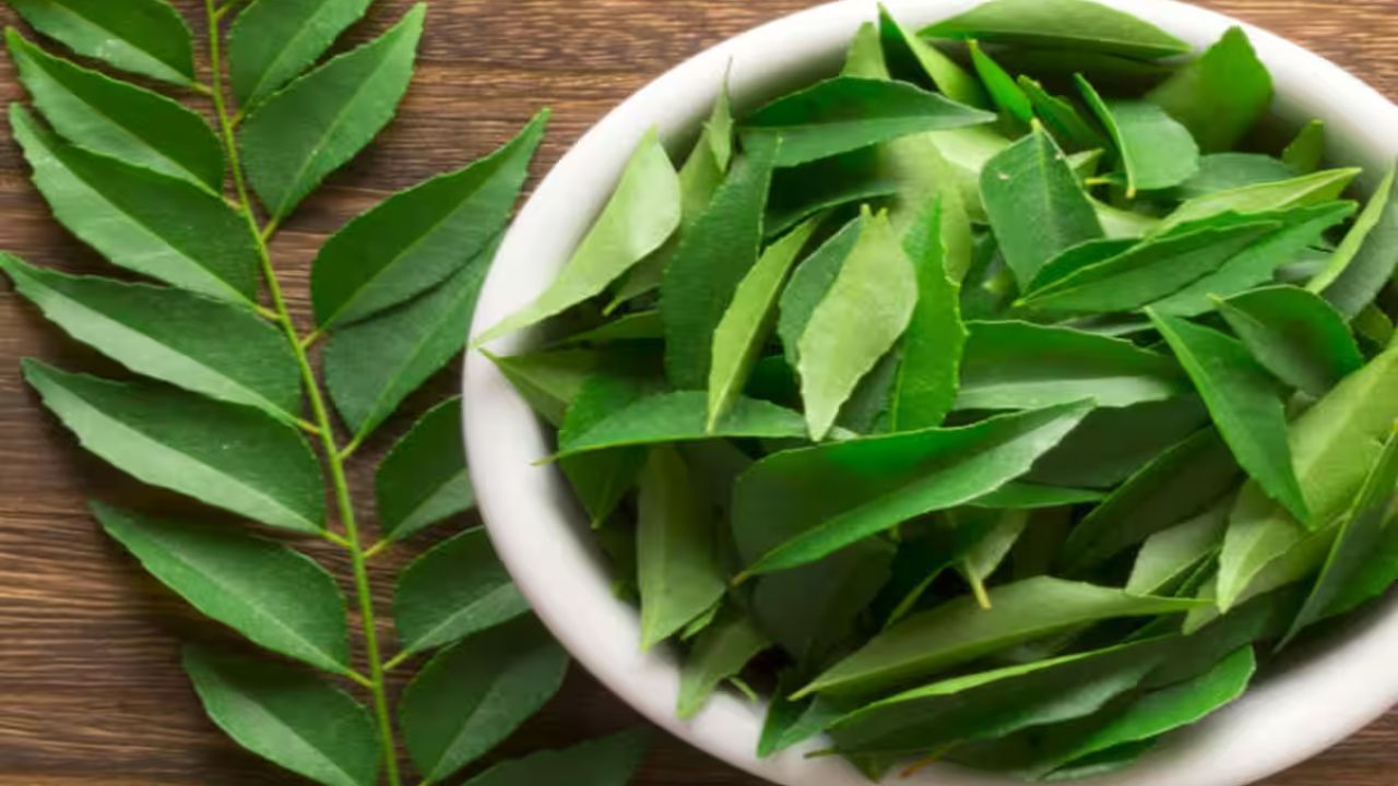 લીમડામાં વિટામિન સી અને એન્ટીઑકિસડન્ટ રહેલું છે જે રોગપ્રતિકારક શક્તિને મજબૂત બનાવવામાં મહત્વપૂર્ણ ભૂમિકા ભજવે છે, જે ચોમાસામાં શરદી અને વાયરલ ચેપ સામે રક્ષણ આપે છે. વરસાદી સિઝનમાં સૌથી વધુ વાયરસ સબંધિત રોગોનું પ્રમાણ વધે છે. ત્યારે આ પાનના સેવનથી બીમારીને દૂર રાખી શકાશે.