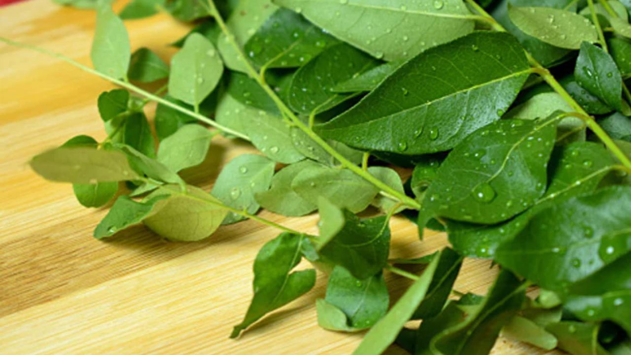 ડાયાબિટીસના દર્દીઓને દરરોજ સવારે 8-10 તાજા લીમડાના પાન પાણીમાં ઉકાળવાથી અથવા તેને આખી રાત પલાળીને તે પાણી પીવાથી ફાયદો થાય છે. તે ઇન્સ્યુલિન સ્તરને સંતુલિત કરે છે અને ડાયાબિટીસ સંબંધિત સમસ્યાઓ ઘટાડે છે.