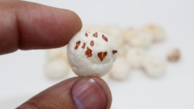 મખાનામાં  સોડિયમ અને કોલેસ્ટરોલનું પ્રમાણ ઓછું હોય છે, જે હ્રદયના આરોગ્ય માટે ઉત્તમ છે. તે બ્લડ પ્રેશર નિયંત્રિત રાખવામાં મદદ કરે છે. ( Credits: Getty Images )