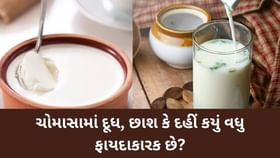 ચોમાસામાં દૂધ, છાશ કે દહીં કયું વધુ ફાયદાકારક છે? ચોમાસામાં દૂધ, છાશ કે દહીં કયું વધુ ફાયદાકારક છે?