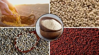 અહીં કેટલાક અનાજની રોટલીઓ વિશે માહિતી આપેલી છે જે તમારા સ્વાસ્થ્યને અનેક રીતે ફાયદો પહોંચાડી શકે છે.