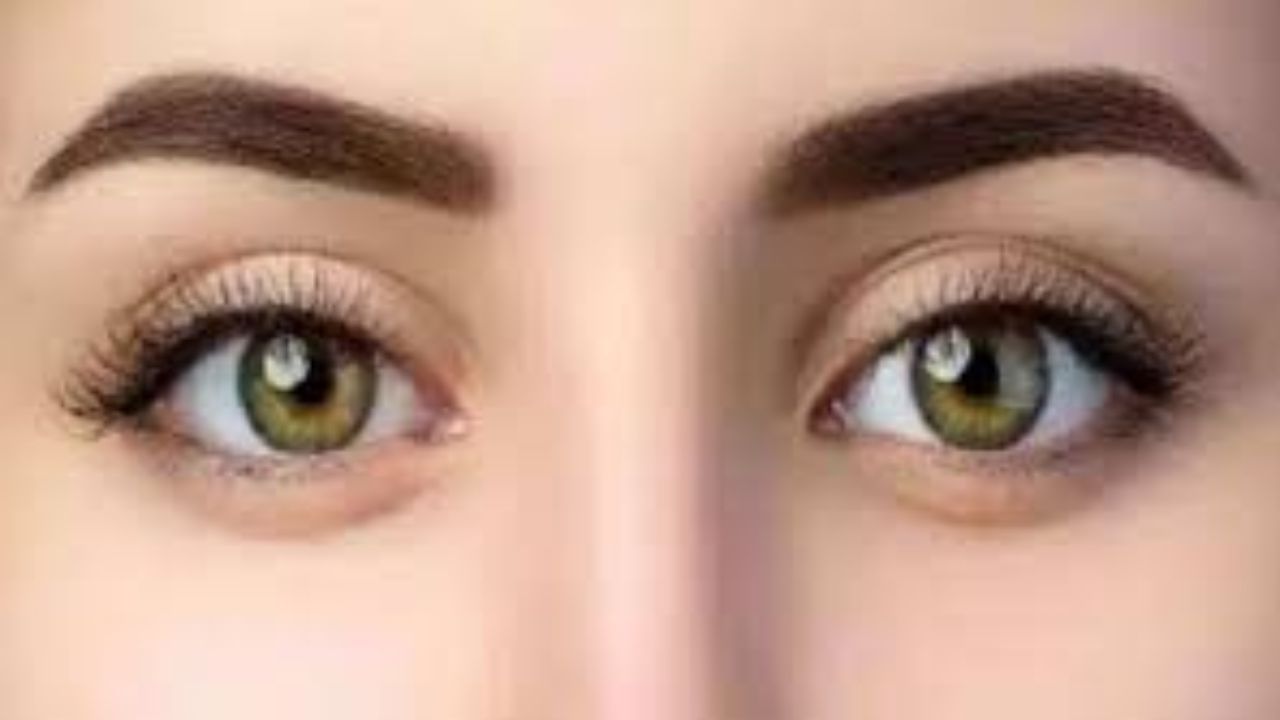 જાડી આઈબ્રો: સમુદ્રશાસ્ત્ર અનુસાર જાડી આઈબ્રોવાળા લોકો સ્વભાવે થોડા વિચિત્ર હોય છે એટલે કે તેમનો સ્વભાવ ખૂબ જ જટિલ હોય છે. આવા લોકોનો સ્વભાવ બેવડો હોય છે, તેઓ અંદરથી કંઈક બીજા હોય અને બહારથી કંઈક બીજા હોય છે. પૈસાની વાત આવે ત્યારે તેઓ ખૂબ જ કંજૂસ હોય છે. તેમનું નામ એવા લોકોમાં સામેલ છે જે દરેક પૈસો બચાવે છે. જીવનમાં ઘણા પૈસા હોવા છતાં પણ તેઓ તેને ખર્ચ કરી શકતા નથી.