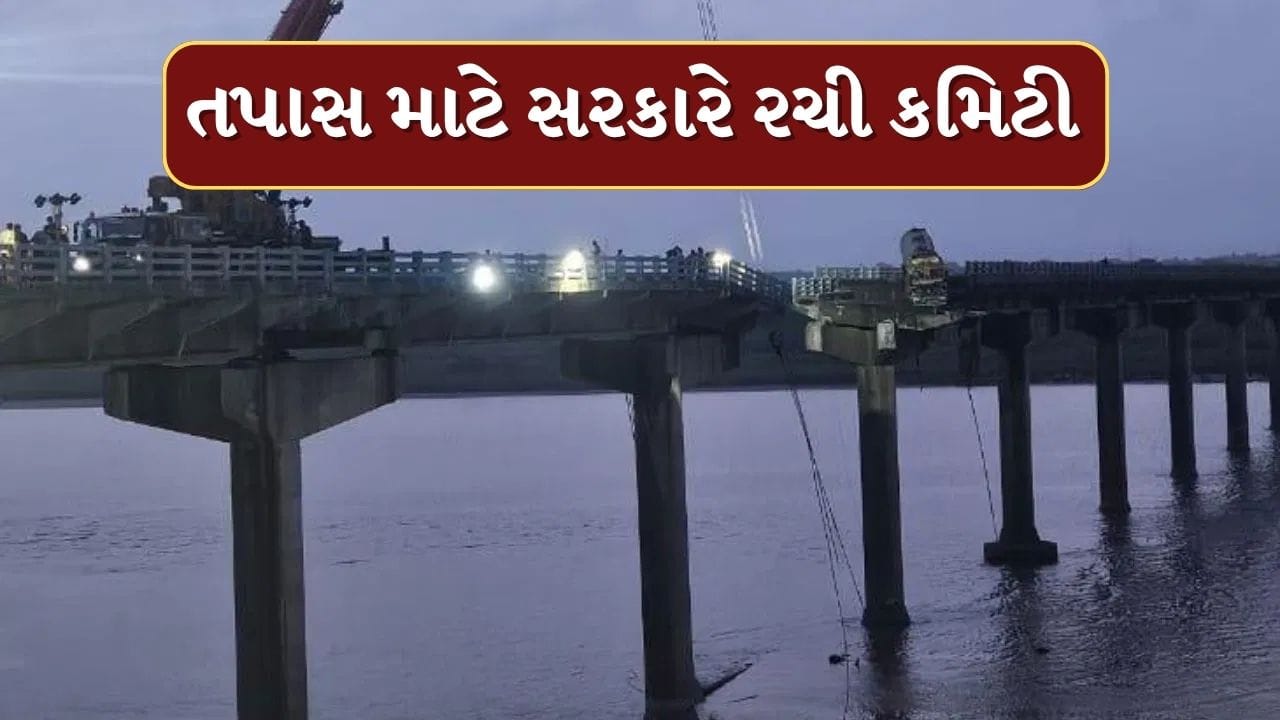 Ghambhira Bridge Collapse : બ્રિજ દુર્ઘટનામાં મૃત્યુઆંક 15 થયો, તપાસ માટે 6 સભ્યોની કમિટીની રચના કરાઇ, 30 દિવસમાં સરકારને આપશે અહેવાલ Ghambhira Bridge Collapse : બ્રિજ દુર્ઘટનામાં મૃત્યુઆંક 15 થયો, તપાસ માટે 6 સભ્યોની કમિટીની રચના કરાઇ, 30 દિવસમાં સરકારને આપશે અહેવાલ
