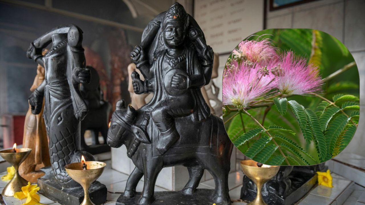 પણ જો અમાસ શનિવારે આવે છે, તો તેને શનિ અમાસ અથવા શનિશરી અમાસ કહેવામાં આવે છે. જ્યારે આ તિથિ શનિવાર સાથે આવે છે, ત્યારે તેનું મહત્વ ઘણુ વધી જાય છે. આ વર્ષની છેલ્લી શનિ અમાવસ્યા છે. ત્યારે જો કોઈની સાડેસાતી કે ઢૈય્યા કે કોઈ અન્ય પ્રકારની મહાદશા ચાલી રહી હોય તો આ દિવસે કેટલાક ઉપાય કરવાથી તેના દુષપ્રભાવથી રાહત મળે છે