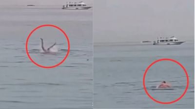 Viral Video: રૂંવાડા ઊભા કરી દે એવો વીડિયો: શાર્ક માછલી પાણીમાં પડેલા વ્યક્તિનું ભક્ષણ કરી ગઈ ! જુઓ video