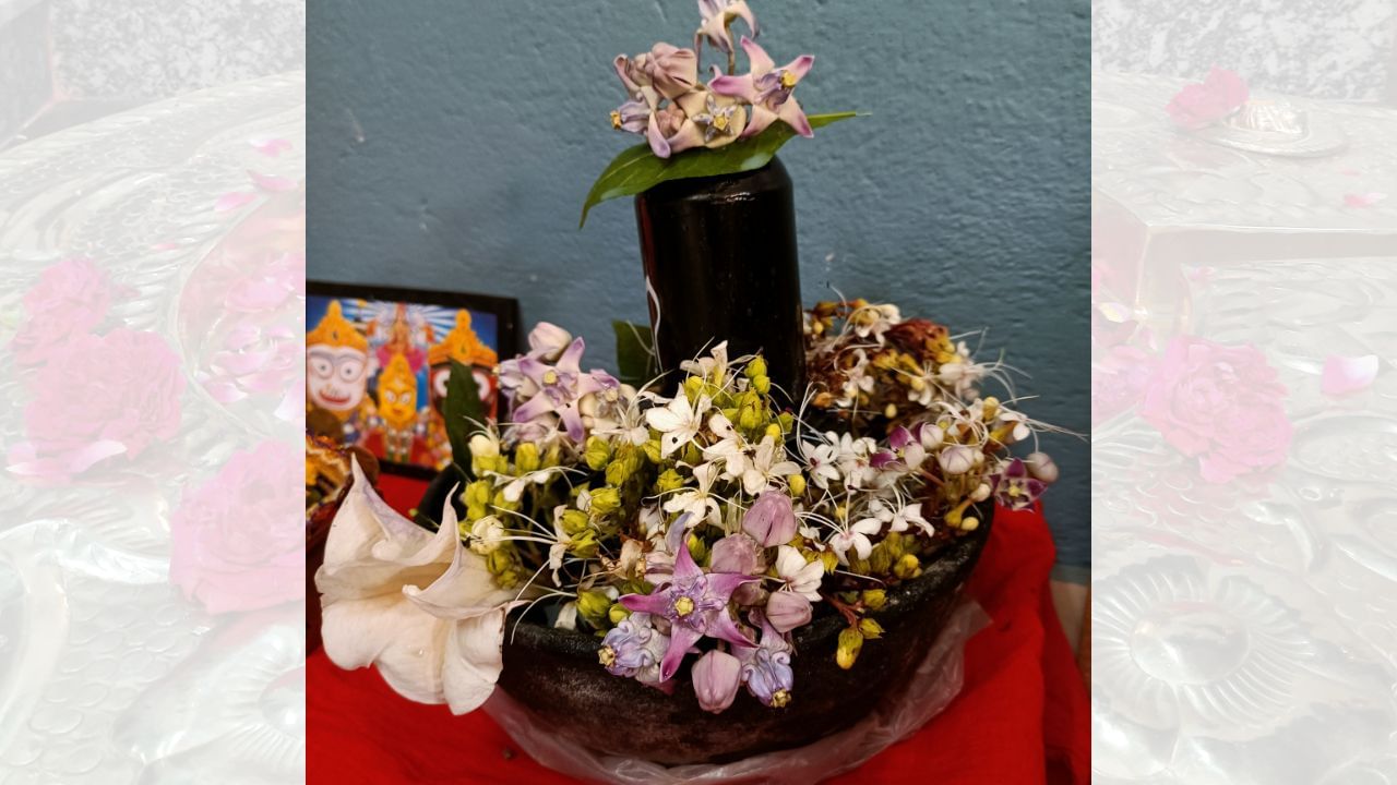 ભગવાન શિવ ભક્તિમાં ભાવના અને ભક્તના શુદ્ધ હૃદયને મહત્વ આપે છે. તેમની કૃપા માટે જટિલ રીતરિવાજો કરતાં શુદ્ધ લાગણીઓ આવશ્યક છે. આવો જાણીએ કે કયા ફૂલો શિવ પૂજામાં શું મહત્ત્વ ધરાવે છે. (Credits: - Canva)