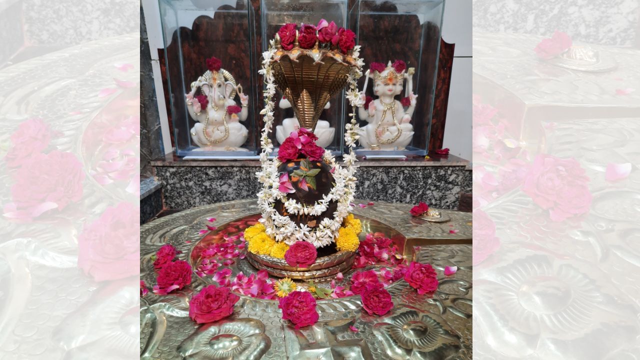 શમીનું પાન શિવભક્તિમાં અત્યંત પવિત્ર માનવામાં આવે છે. માન્યતા પ્રમાણે, એક જ શમીપાન એક હજાર બેલપત્રના પુણ્યને સરખું છે. ભગવાન શિવને શમીના ફૂલો ભક્તિપૂર્વક અર્પણ કરવાથી પ્રસન્નતા પ્રાપ્ત થાય છે અને ઘરમાં સુખ-સમૃદ્ધિનો વાસ થાય છે. (Credits: - Canva)