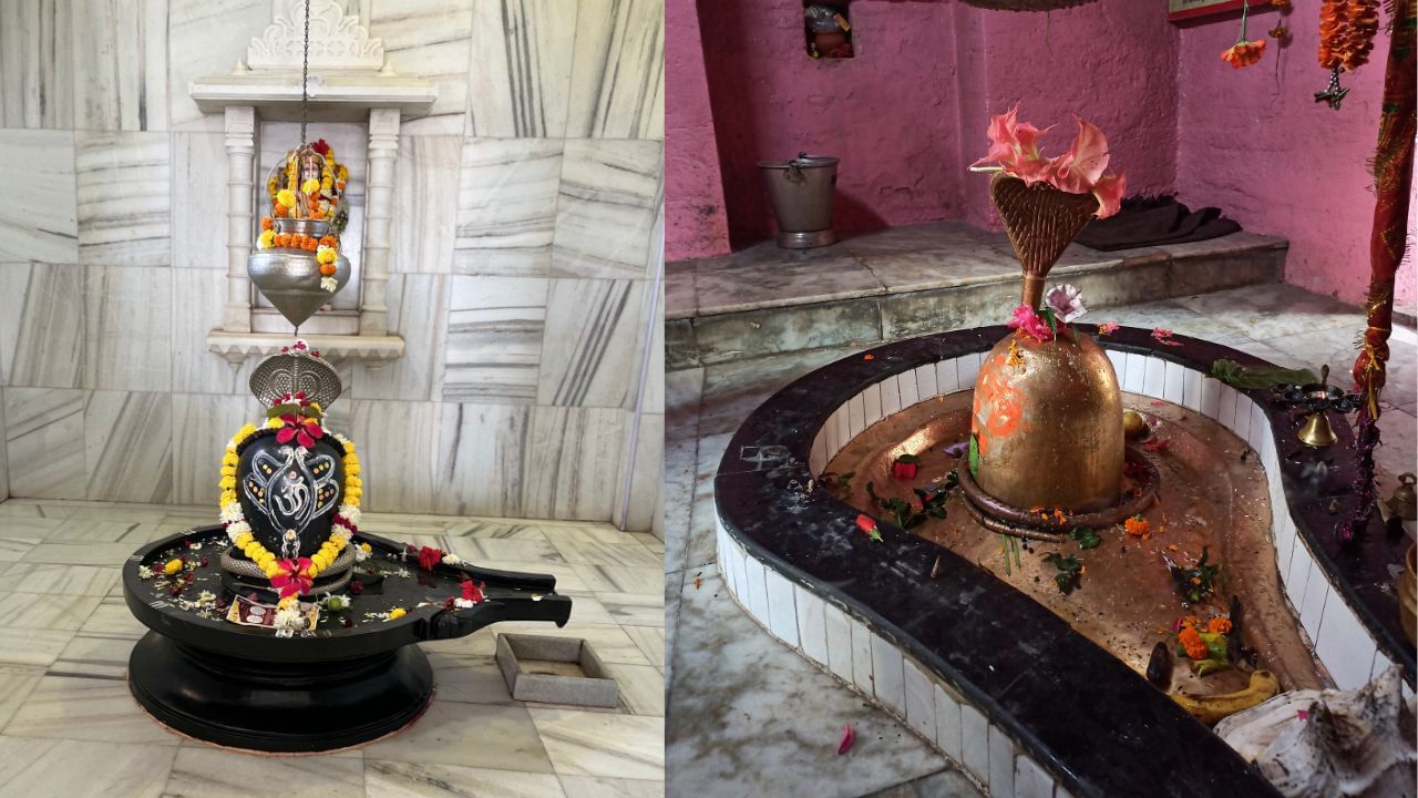 મદારનું સફેદ ફૂલ, જેને આંકડો પણ કહે છે, ભગવાન શિવને અતિ પ્રિય માનવામાં આવે છે. શાસ્ત્રોમાં કહેવાય છે કે આ ફૂલો દ્વારા ભક્તિપૂર્વક શિવપૂજા કરવાથીમુક્તિનો માર્ગ પ્રશસ્ત થાય છે. ઓલિએન્ડર ફૂલ પણ એક એવું પુષ્પ છે જે શિવને અર્પણ કરવાથી આર્થિક લાભ અને ઇચ્છિત સિદ્ધિઓ પ્રાપ્ત થાય છે. (Credits: - Canva)