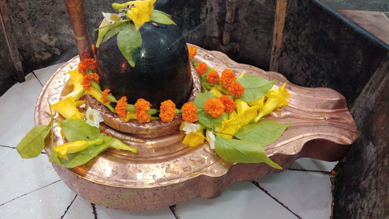 શિવલિંગ પર અગસ્ત્યના ફૂલ અર્પણ કરવાથી સમાજમાં માન-સન્માન અને યશમાં વૃદ્ધિ થાય છે એવું માનવામાં આવે છે. હરસિંગાર, જેને પારિજાત પણ કહે છે, રાત્રે ખીલતા સુંદર ફૂલ છે. આ ફૂલ ભગવાન શિવને ભક્તિપૂર્વક ચઢાવવાથી ઘરમાં સુખ-શાંતિ અને આર્થિક સમૃદ્ધિ વધે છે. ( નોંધ :ટીવી9 કોઈ પણ પ્રકારે અંધશ્રદ્ધાને પ્રોત્સાહન આપતુ નથી. આ અહેવાલ માત્ર ધાર્મિક માન્યતા અને લોકોમાં પ્રચલિત માન્યતા, રીત રિવાજને આધારે રજૂ કરવામાં આવેલ છે. ) (Credits: - Canva)