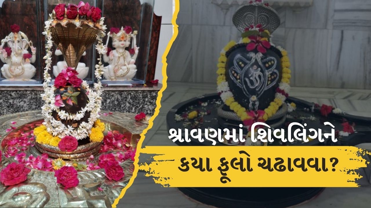 ભગવાન શિવને અર્પણ કરવામાં આવતું બેલાનું ફૂલ લગ્નસંબંધો માટે શુભ માનવામાં આવે છે. શ્રદ્ધાપૂર્વક બેલા અર્પણ કરવાથી દાંપત્ય જીવનમાં સુખ-સમૃદ્ધિ આવે છે. શિવપૂજામાં અળસીના ફૂલનું પણ વિશેષ મહત્વ છે,જેને અર્પણ કરવાથી ભક્તને પાપોથી મુક્તિ મળે છે અને દેવકૃપા પ્રાપ્ત થાય છે. (Credits: - Canva)