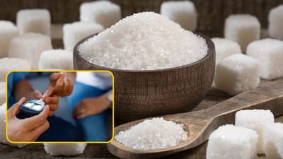 Health Tips : જો તમે ખાંડનું સેવન ઓછું નહી કરો તો પછતાશો, જાણો દરરોજ કેટલી ખાંડ ખાવી જોઈએ?