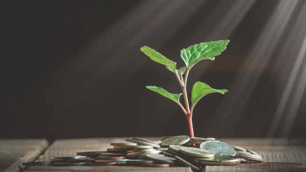 મની પ્લાન્ટ ફક્ત દેખાવમાં જ સુંદર હોય તેવું નથી, તે હવાને શુદ્ધ કરવાનું પણ કામ કરે છે. વાસ્તુ મુજબ, આ છોડ આર્થિક સ્થિતિને મજબૂત બનાવવા, ઘરમાં સકારાત્મક ઉર્જા જાળવવા અને પરિવારમાં પરસ્પર સંબંધો સુધારવામાં મદદરૂપ બને છે.