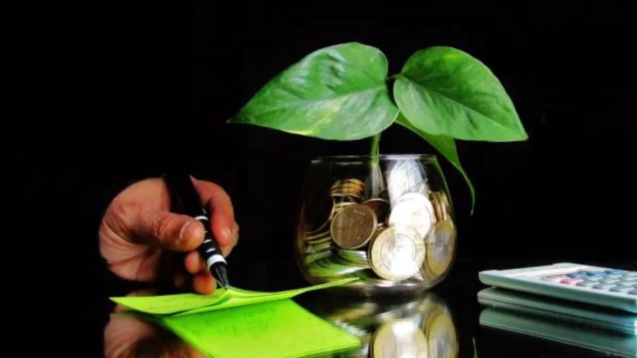 આ દિશામાં મની પ્લાન્ટ લગાવવાથી ઘરમાં લક્ષ્મી આવે છે અને આર્થિક મુશ્કેલીઓ દૂર થાય છે. આ ઉપરાંત, જો તમે ઘરના મુખ્ય પ્રવેશદ્વાર પાસે અથવા બાલ્કનીમાં મની પ્લાન્ટ લગાવવા માંગતા હોવ, તો ઉત્તર દિશા પણ એક સારો વિકલ્પ છે. આ દિશા ધનના દેવતા કુબેરની માનવામાં આવે છે.