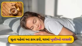 સૂતી વખતે પલંગની સામે આ વસ્તુઓ રાખો, જીવનમાં ખુશીઓ છવાશે સૂતી વખતે પલંગની સામે આ વસ્તુઓ રાખો, જીવનમાં ખુશીઓ છવાશે