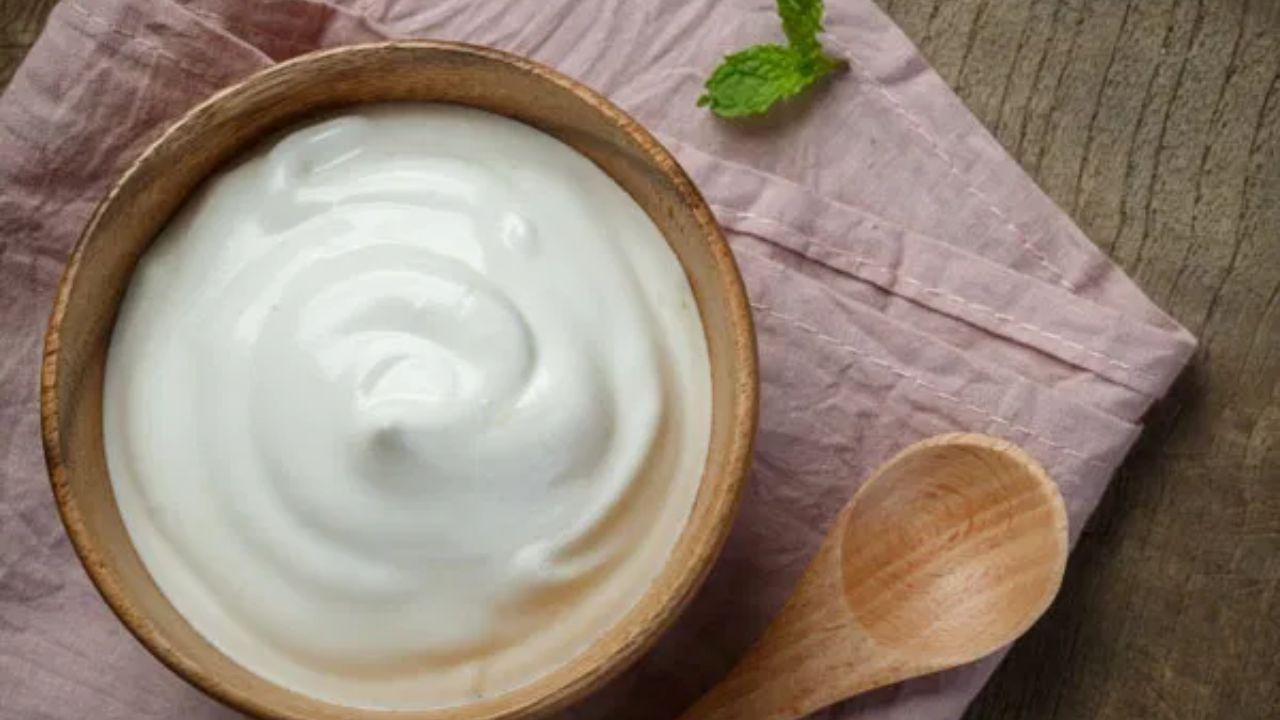 ચોમાસાની ઋતુ ગરમીથી રાહત આપે છે, તે આપણા પાચનતંત્ર માટે પણ પડકાર ઉભો કરી શકે છે. આ ઋતુમાં હવામાં ભેજ વધુ હોય છે અને પર્યાવરણમાં બેક્ટેરિયા અને ફૂગની પ્રવૃત્તિ વધે છે, જેના કારણે ખોરાક સંબંધિત રોગોનું જોખમ વધે છે. આયુર્વેદ અને એલોપેથી બંને માને છે કે ચોમાસા દરમિયાન પાચનશક્તિ નબળી પડી જાય છે, જેના કારણે ખોરાક યોગ્ય રીતે પચતો નથી અને ગેસ, એસિડિટી, ઝાડા અથવા ઉલટી જેવી સમસ્યાઓ થવા લાગે છે.