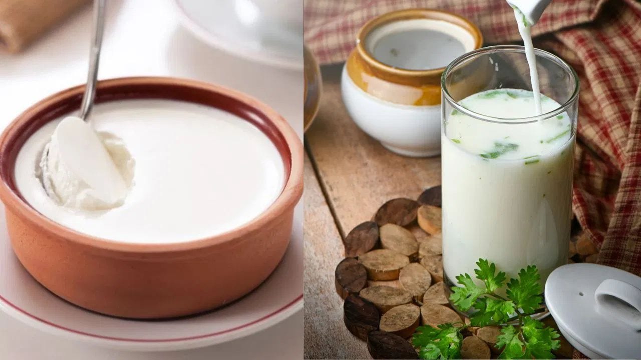 ચોમાસાની ઋતુ આવતાની સાથે જ આપણી પાચન શક્તિ થોડી નબળી પડી જાય છે. આવી સ્થિતિમાં, ઘણા લોકો વિચારવા લાગે છે કે ઠંડુ દૂધ પીવું, દહીં ખાવું કે છાશ લેવાથી શું ફાયદાકારક રહેશે અને શું નુકસાન થઈ શકે છે? ખાસ કરીને જ્યારે હવામાં ભેજ વધુ હોય અને પેટ વારંવાર ભારે લાગે. આયુર્વેદ અનુસાર, દરેક ઋતુમાં શરીરમાં વાત, પિત્ત અને કફના સંતુલન અનુસાર ખોરાક પસંદ કરવો જોઈએ. ચાલો જાણીએ કે વરસાદની ઋતુમાં આ ત્રણમાંથી કયું પસંદ કરવું શ્રેષ્ઠ રહેશે.