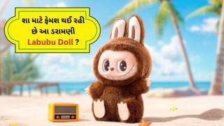 Labubu Doll Trend : લાબુબુ ડોલ શું છે ? શેતાની સ્મિત અને ડરામણા દેખાવવાળી આ ઢીંગલી શા માટે ખરીદી રહ્યા છે લોકો ?