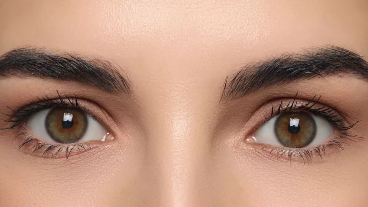 ​કંજી અથવા પીળી આંખોવાળા લોકો કેવા હોય છે?: સામુદ્રિક શાસ્ત્ર અનુસાર કંજી અથવા આછા પીળા રંગની આંખોવાળા લોકો ઘણીવાર મજા અને સાહસનો આનંદ માણે છે. આ લોકો સંજોગોને અનુરૂપ બનવા અને સમય સાથે આગળ વધવામાં માહિર હોય છે. તેઓ હિંમતવાન હોય છે અને થોડાં સમય પછી તેઓ તેમના જીવનથી કંટાળવા લાગે છે.
