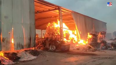 Breaking News : ડભોઈમાં પૂંઠા બનાવતી ફેકટરીમાં લાગી ભીષણ આગ, સામાન બળીને ખાખ, જુઓ Video Breaking News : ડભોઈમાં પૂંઠા બનાવતી ફેકટરીમાં લાગી ભીષણ આગ, સામાન બળીને ખાખ, જુઓ Video