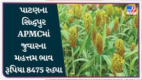 APMC : પાટણના સિદ્ધપુર APMCમાં જુવારના મહત્તમ ભાવ રૂપિયા 8475 રહ્યા APMC : પાટણના સિદ્ધપુર APMCમાં જુવારના મહત્તમ ભાવ રૂપિયા 8475 રહ્યા