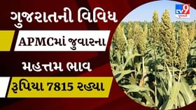 APMC : પાટણના સિદ્ધપુર APMCમાં જુવારના મહત્તમ ભાવ રૂપિયા 7815 રહ્યા