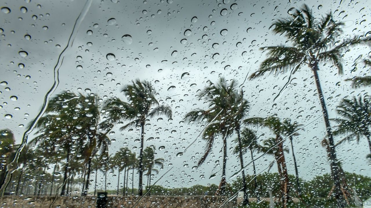 ગુજરાતમાં નવરાત્રીના નવ દિવસ દરમિયાન માતા શક્તિની પૂજા કરવામાં આવે છે. આ સમય દરમિયાન, રાજ્યના અમદાવાદ, વડોદરા, સુરત અને રાજકોટમાં મોટા ગરબા કાર્યક્રમોનું આયોજન કરવામાં આવે છે. હજારો લોકો આમાં ભાગ લે છે. આ કાર્યક્રમોની તૈયારીઓ ઘણા મહિનાઓ અગાઉથી શરૂ થઈ જાય છે.