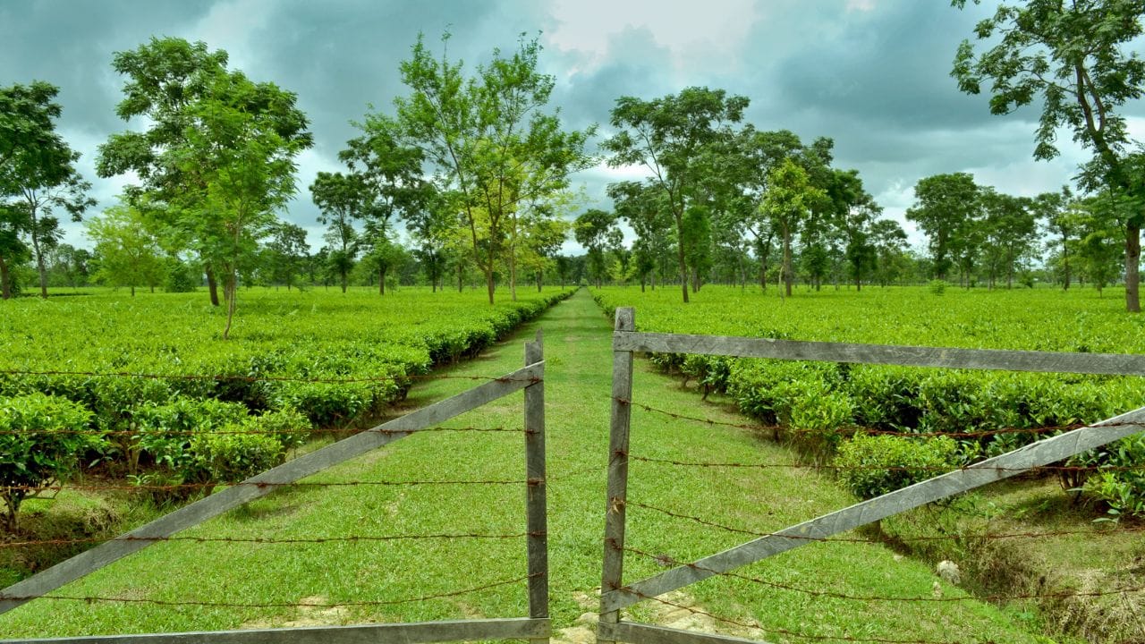 1947માં ભારત સ્વતંત્ર થયું પછી આસામ ભારતનો ભાગ બન્યું, સમય જતાં આસામમાંથી અલગ થઈને અનેક રાજ્યોનું નિર્માણ થયું: મેઘાલય, મિઝોરમ, નાગાલેન્ડ, અરુણાચલ પ્રદેશ.આજકાલ આસામ પોતાની સમૃદ્ધ સંસ્કૃતિ, ભાષા, ચા ઉત્પાદન, રેશમ, બિહુ નૃત્ય અને બ્રહ્મપુત્ર નદી માટે જાણીતું છે. ( આ માહિતી વિવિધ ઐતિહાસિક તથ્યો અને સંશોધનો પર આધારિત છે.  વિગતવાર માહિતી માટે, ઇતિહાસના પ્રમાણભૂત ગ્રંથો અને સંશોધનોનો અભ્યાસ કરવો ઉચિત રહેશે.) (Credits: - Wikipedia)