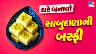 Sabudana Barfi Recipe : માવાની બરફી ખાઈને કંટાળી ગયા છો ? એક વાર ટ્રાય કરો સાબુદાણાની બરફી