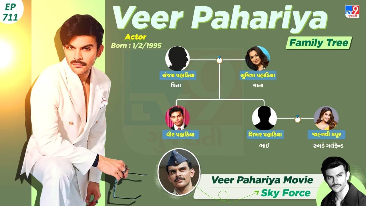 વીર પહાડિયાની પર્સનલ લાઈફ અને પ્રોફેશનલ લાઈફ વિશે જાણો