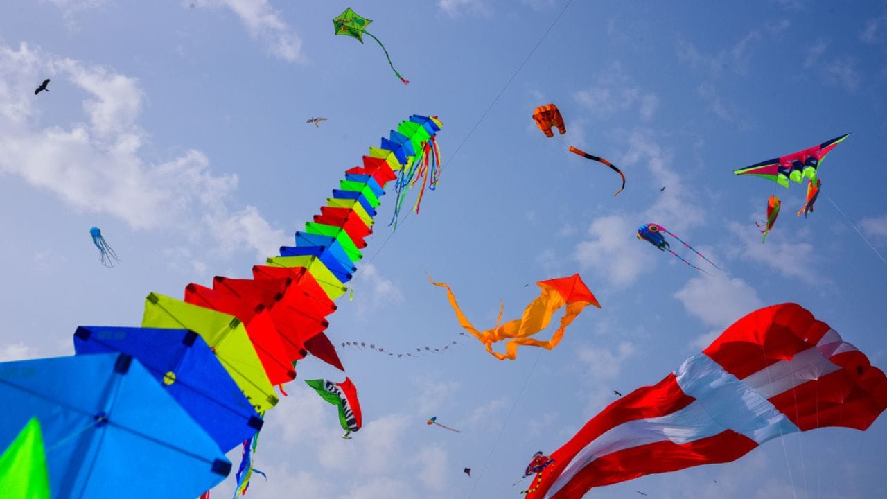 ધંધાની શરૂઆત કરવા માટે બજેટ નક્કી કરો અને હોલસેલમાં માલ મંગાવો. ઘરમાં કે ગોડાઉનમાં એકસ્ટ્રા સ્ટોક મૂકી રાખો અને સોશિયલ મીડિયા તેમજ લોકલ લેવલે જોરશોરથી માર્કેટિંગ કરો.