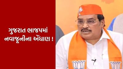 Breaking News : ગુજરાત ભાજપમાં નવાજૂનીના એંધાણ, સી.આર. પાટીલના સંકેતોથી ચર્ચા, જુઓ Video