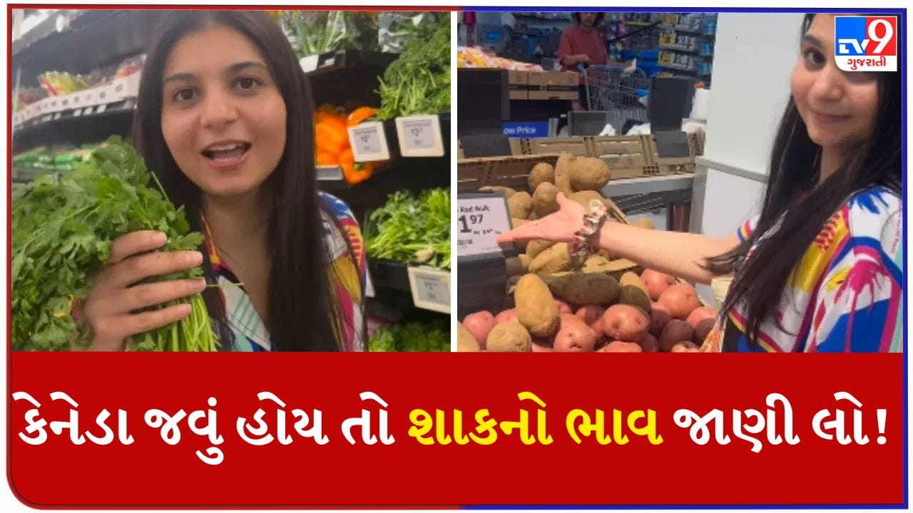 Viral Video : મફતમાં મળતી કોથમરી 90 રુપિયાની, બટાકાની તો વાત જ જવા દો, ભારતીયોને લાગશે ઝટકો