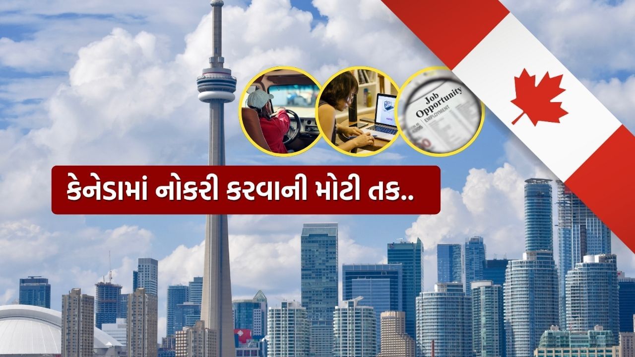 કેનેડામાં અભ્યાસ કરવા જતાં વિદ્યાર્થીઓ માટે, અહીંના રોજગાર બજારને સમજવું ખૂબ જરૂરી છે. જો તમે એવા અભ્યાસક્રમ પસંદ કરો છો જે નોકરીની દૃષ્ટિએ હાઈ ડિમાન્ડમાં છે, તો નોકરી મેળવવાની શક્યતાઓ ઘણી વધારે છે. ખાસ કરીને આજકાલ આર્ટિફિશિયલ ઇન્ટેલિજન્સ (AI)ના વધતા ઉપયોગ વચ્ચે, નોકરી ગુમાવાની ચિંતાઓ પણ વધી છે. પરંતુ જો તમારી પસંદગી યોગ્ય હોય, તો કારકિર્દી બનાવવી વધુ સરળ બનશે.