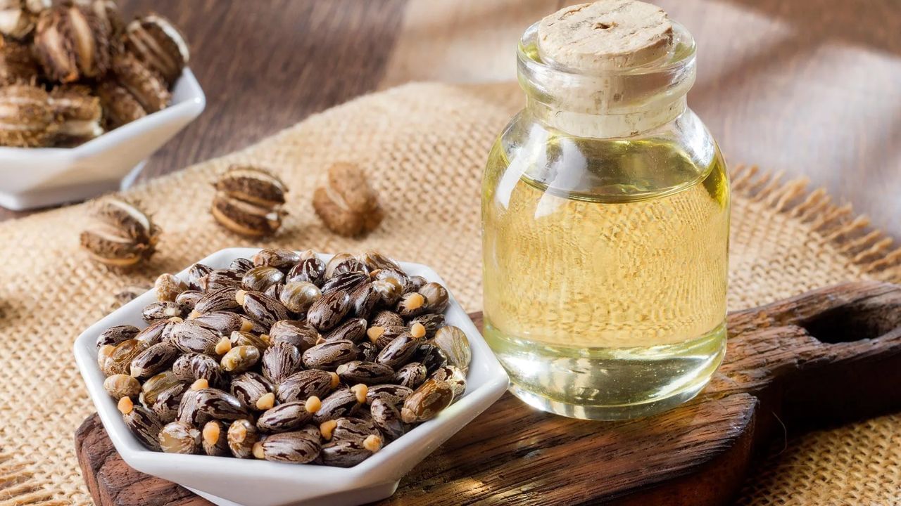 વાળનો વિકાસ વધારવામાં મદદરૂપ: એરંડાનું તેલ વાળ માટે ખૂબ જ ફાયદાકારક માનવામાં આવે છે. તે સ્કેલ્પમાં રક્ત પરિભ્રમણ સુધારવામાં મદદ કરે છે, જે વાળના મૂળને પોષણ આપે છે અને વાળને મજબૂત બનાવે છે. તે વાળના વિકાસમાં પણ સુધારો કરે છે. જો કે તે ખૂબ જ ભારે તેલ છે, તેથી તેને નાળિયેર તેલ સાથે ભેળવીને લગાવવું જોઈએ અને તેનું પ્રમાણ યોગ્ય રાખવું જોઈએ.
