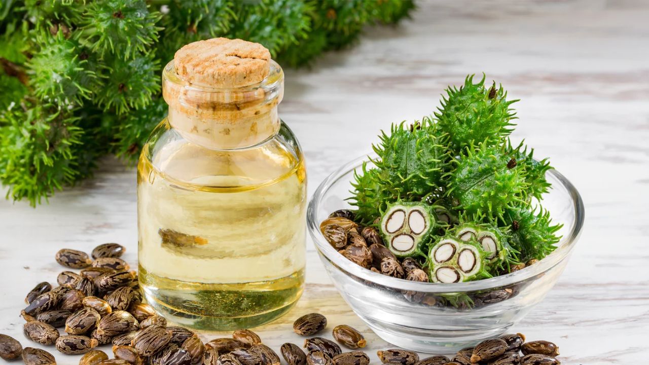 ત્વચાનું મોઇશ્ચરાઇઝર: તે એક ઉત્તમ કુદરતી મોઇશ્ચરાઇઝર છે. તેને સૂકી અને તિરાડવાળી ત્વચા પર લગાવવાથી તે નરમ અને હાઇડ્રેટેડ રહે છે. તે ખાસ કરીને એડી અને કોણી પર અસરકારક છે.
