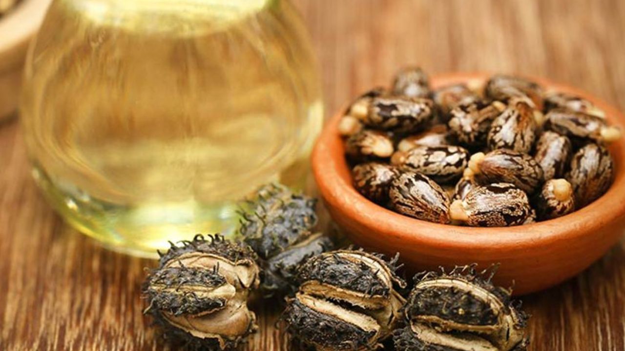 આઈબ્રો જાડી કરવા માટે: એરંડાનું તેલ વાળના વિકાસમાં સુધારો કરે છે. જો તમે એવા લોકોમાંથી એક છો જેમની પાંપણ અને આઈબ્રો ખૂબ જ પાતળા હોય છે, તો તમે એરંડાનું તેલ લગાવી શકો છો. આનાથી તમને ખૂબ સારા પરિણામો મળી શકે છે. જોકે, તેનો ઉપયોગ ખૂબ જ મર્યાદિત માત્રામાં કરો.
