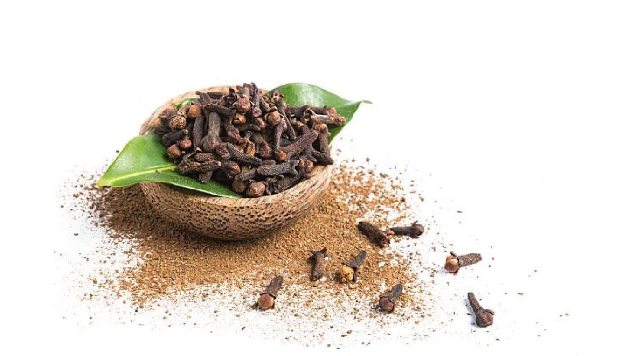 લવિંગ ચાવવાની યોગ્ય રીત - સવારે ખાલી પેટે એક થી બે લવિંગ ચાવો, તેને સારી રીતે ચાવો અને એક ગ્લાસ ગરમ પાણી પીવો. અને આ એક મહિના સુધી નિયમિત કરો અને પરિણામો જુઓ.