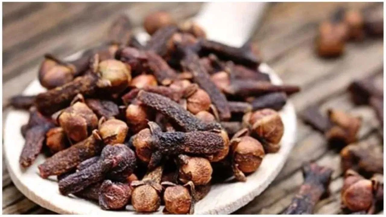 રોગપ્રતિકારક શક્તિ વધે છે - લવિંગના એન્ટીઑકિસડન્ટ ગુણધર્મો રોગપ્રતિકારક શક્તિને મજબૂત બનાવે છે અને શરીરને ચેપ અને રોગો સામે લડવામાં મદદ કરે છે.