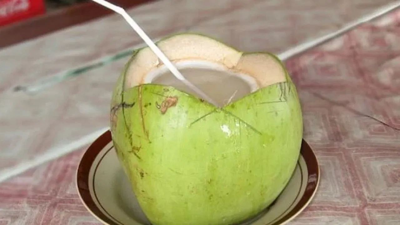 નારિયેળ પાણી ગર્ભવતી સ્ત્રીઓ માટે પણ ખૂબ ઉપયોગી છે જેમને પેટમાં ગેસ, ખાટા ઓડકાર, એસિડિટી વગેરેની સમસ્યા હોય છે. તે પેટમાં એસિડ થતો અટકાવે છે.