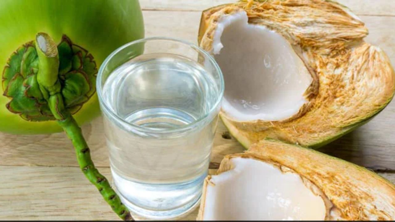 ગર્ભાવસ્થા દરમિયાન, સ્ત્રીઓ ઘણીવાર માંદગીથી પીડાય છે. આવી સ્થિતિમાં, ઉલટી વગેરેની સમસ્યા થાય છે. નાળિયેર પાણી શરીરને શક્તિ આપે છે અને આવી સમસ્યાઓ નિયંત્રિત થાય છે. આ ઉપરાંત, તે સ્ત્રીઓની રોગપ્રતિકારક શક્તિ વધારે છે અને થાક, નબળાઈ વગેરે જેવી સમસ્યાઓ દૂર કરવામાં મદદરૂપ થાય છે.