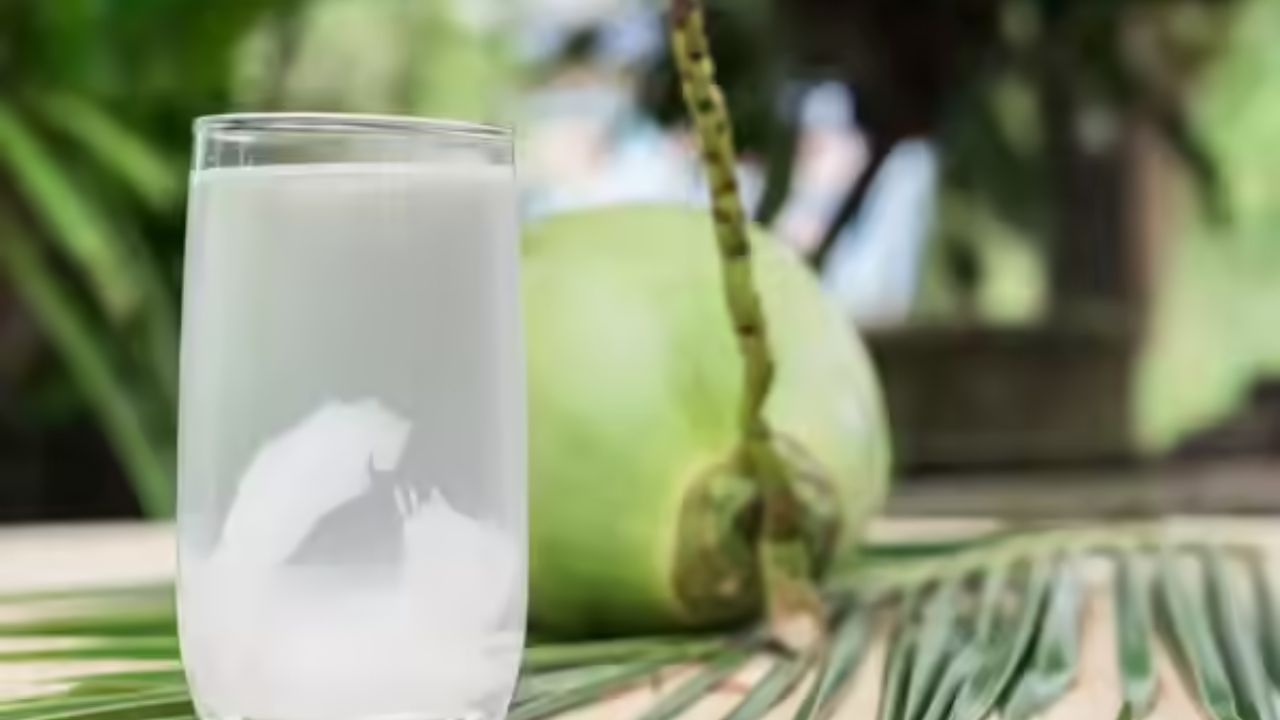 બ્લડ પ્રેશરની દવા લેતા લોકો: નાળિયેર પાણી બ્લડ પ્રેશર ઘટાડવામાં મદદ કરે છે. જો તમે પહેલાથી જ બ્લડ પ્રેશર ઘટાડવા માટે દવા લઈ રહ્યા છો તો નાળિયેર પાણી પીવાથી તમારું બ્લડ પ્રેશર વધુ ઘટી શકે છે, જેનાથી ચક્કર આવવા અથવા બેભાન થવા જેવી સમસ્યાઓ થઈ શકે છે.