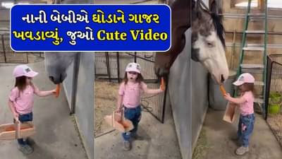 આટલો Cute Video તમે ક્યાય નહીં જોયો હોય, ઘોડાને ગાજર ખવડાવતા જોવા મળી નાની બેબી