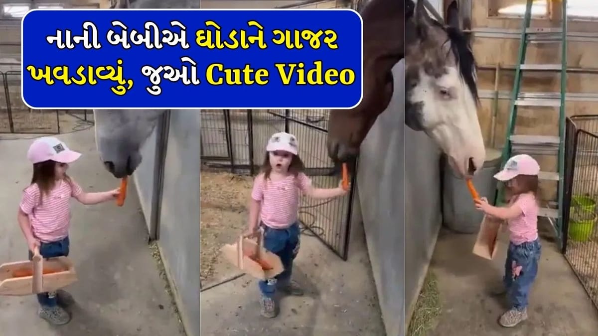 આટલો Cute Video તમે ક્યાય નહીં જોયો હોય, ઘોડાને ગાજર ખવડાવતા જોવા મળી નાની બેબી