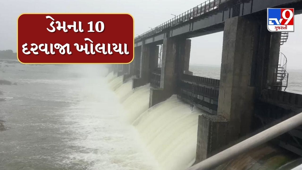 Rain : રાજુલાના ધાતરવાડી ડેમ-2ના 10 દરવાજા ખોલાયા, આસપાસના ગામોને કરાયા એલર્ટ, જુઓ Video
