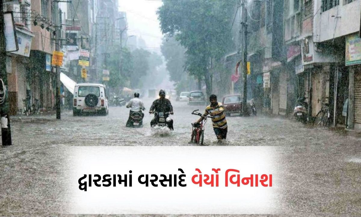 સૌરાષ્ટ્રમાં આફત બનીને વરસ્યા મેઘરાજા, દ્વારકાથી લઈને જુનાગઢ સુધી જુઓ તબાહીના દૃશ્યો- Video