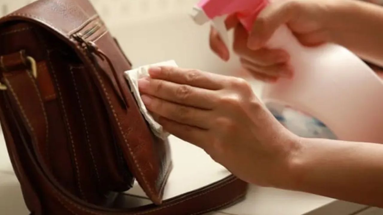 સાબુવાળા પાણીથી સાફ કરો: થોડા હળવા પ્રવાહી સાબુ (જેમ કે ડીશવોશ) ને થોડા ગરમ પાણીમાં મિક્સ કરો. તેમાં સ્વચ્છ સુતરાઉ કાપડ ડુબાડો અને તેને સારી રીતે નિચોવી લો. હવે આ કપડાથી બેગને હળવેથી સાફ કરો. આખી બેગને સારી રીતે સાફ કરો. જેથી ધૂળ અને ડાઘ દૂર થઈ જાય. આ પછી બેગને 10 મિનિટ સુધી સૂકવવા દો.