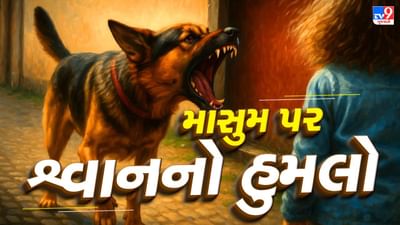 Rajkot : જેતપુરના દેરડી ધારમાં શ્વાનનો ત્રાસ, 4 વર્ષની બાળકીને શ્વાને ભર્યા બચકાં, જુઓ Video Rajkot : જેતપુરના દેરડી ધારમાં શ્વાનનો ત્રાસ, 4 વર્ષની બાળકીને શ્વાને ભર્યા બચકાં, જુઓ Video