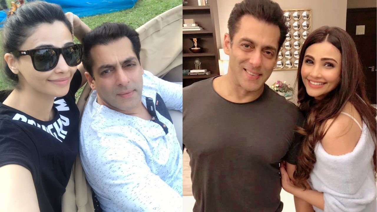 તમને જણાવી દઈએ કે, ડેઝી શાહ માત્ર બોલિવુડ જ નહી પરંતુ કન્નડ અને ગુજરાતી ફિલ્મોમાં પણ કામ કરી ચૂકી છે. તેના ચાહકો પણ મોટી સંખ્યામાં છે.