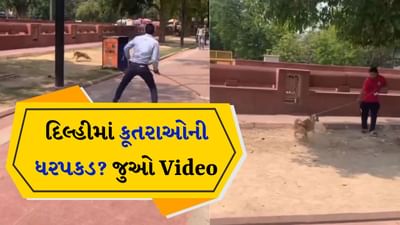 શું ખરેખર દિલ્હીમાં કૂતરાઓની ધરપકડ શરૂ થઈ ગઈ? જુઓ Video શું કહે છે